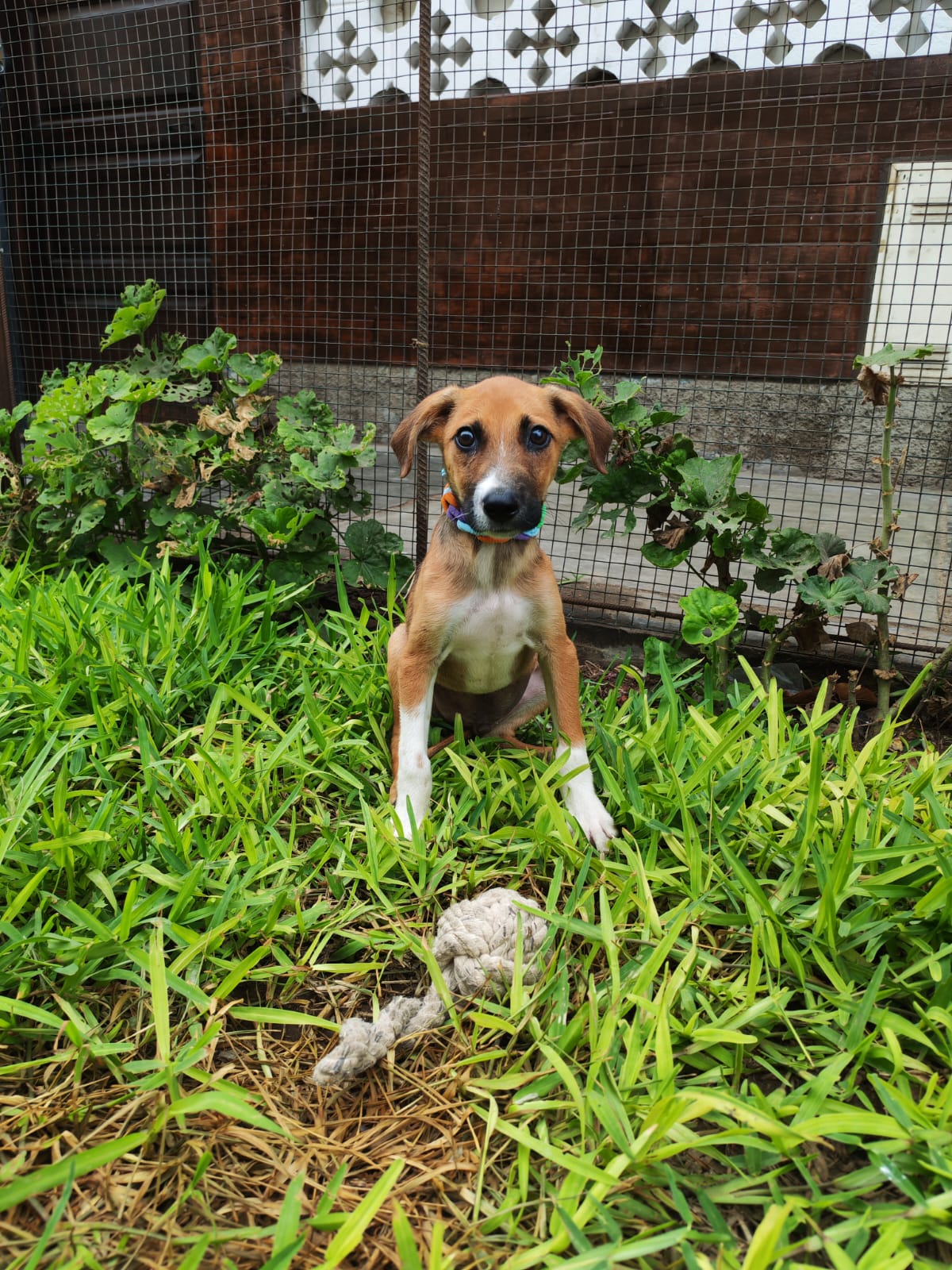 Camilo - Image 15